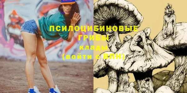 крисы Абаза