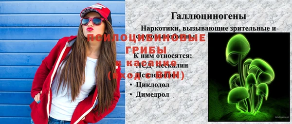 крисы Абаза