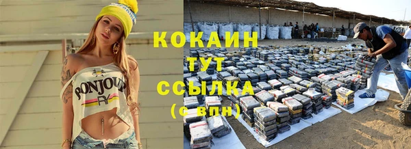 крисы Абаза
