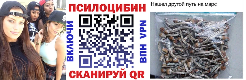 купить наркоту  Нолинск  Галлюциногенные грибы прущие грибы 